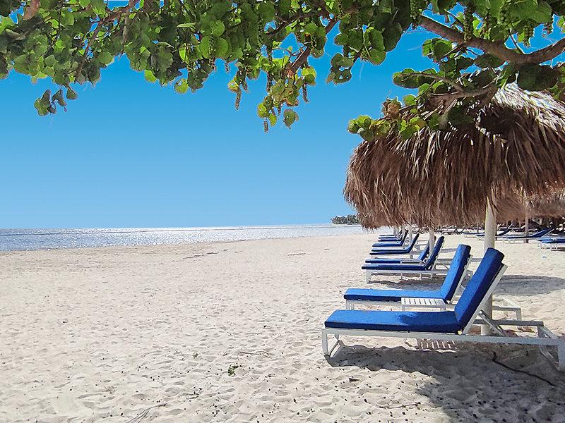 F56AE8473B263BA32EAC7D3E9FC1648B