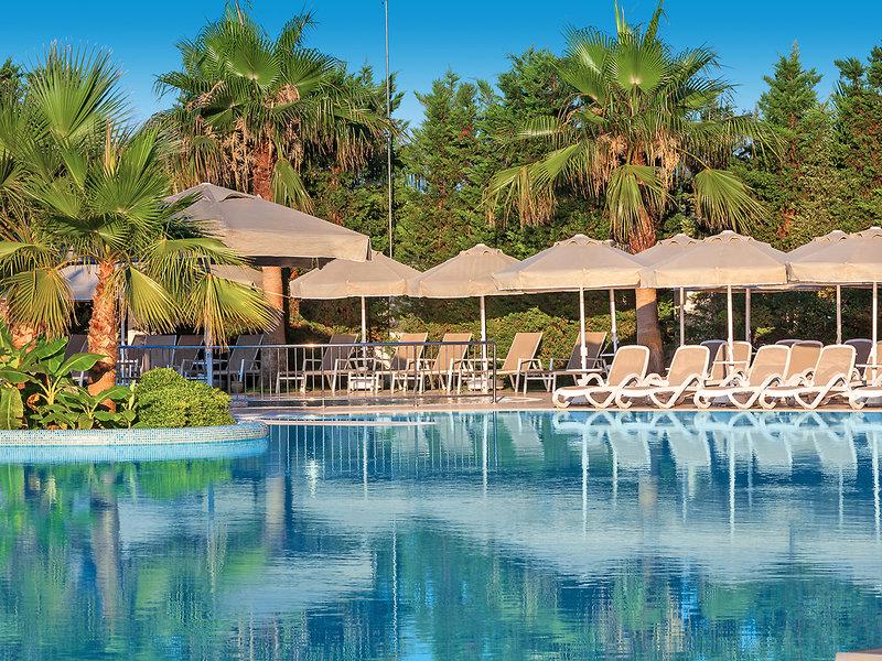 6131A0E1260D884909C4141F2DD19160