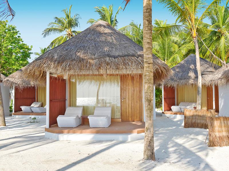 67A25D47B2F9080C7D546D137F566495