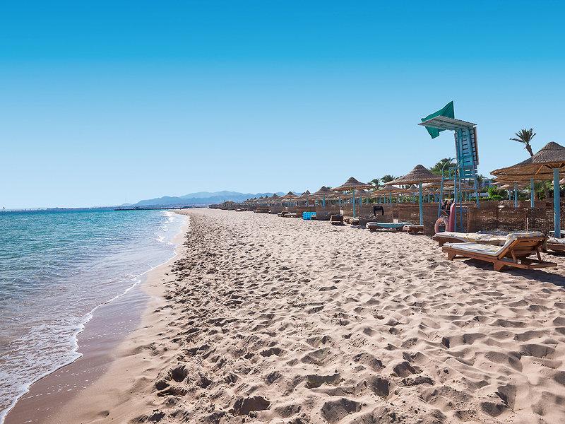 0555DF79AE7B77AFEF4E409652A96B64