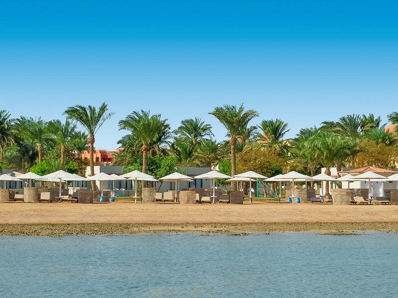 8D381C84848907AA724E5CA55F589BFA