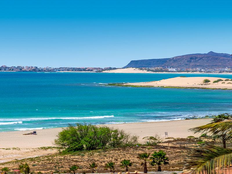 2FDAAB3EF8AA96DB596A672EE8504EDB