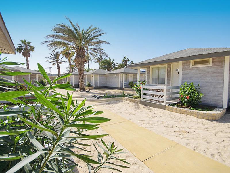 54A586EE5C7CD19B4D26556855FE79EE