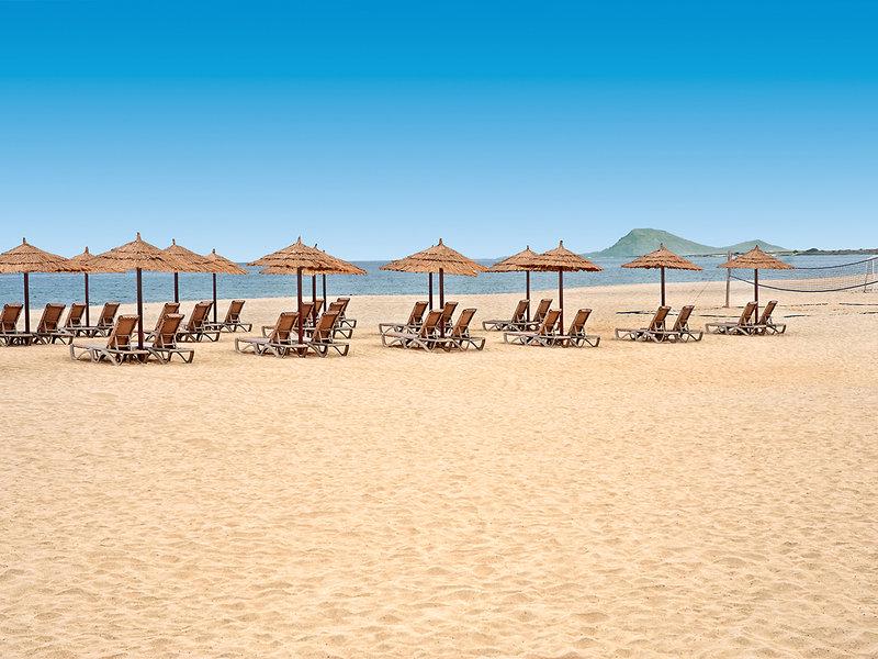 4CBC0E37D1B4A58F514429EB5F50F44F