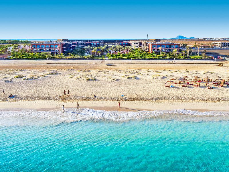 C67D3DFE4B5F60F36043E32DE838A782