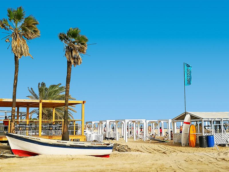 3E220C93CE4865749B3C8CF321767C21