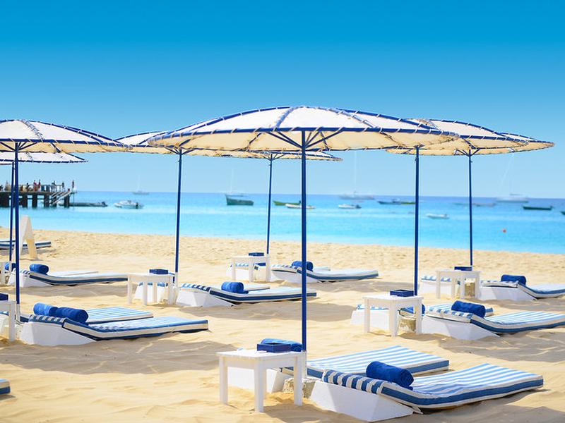 4493B28E4130E1C7934FDBE85DC57A31