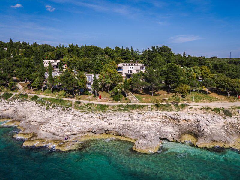 E3A91E945E5E784C121445CA1ECCC988