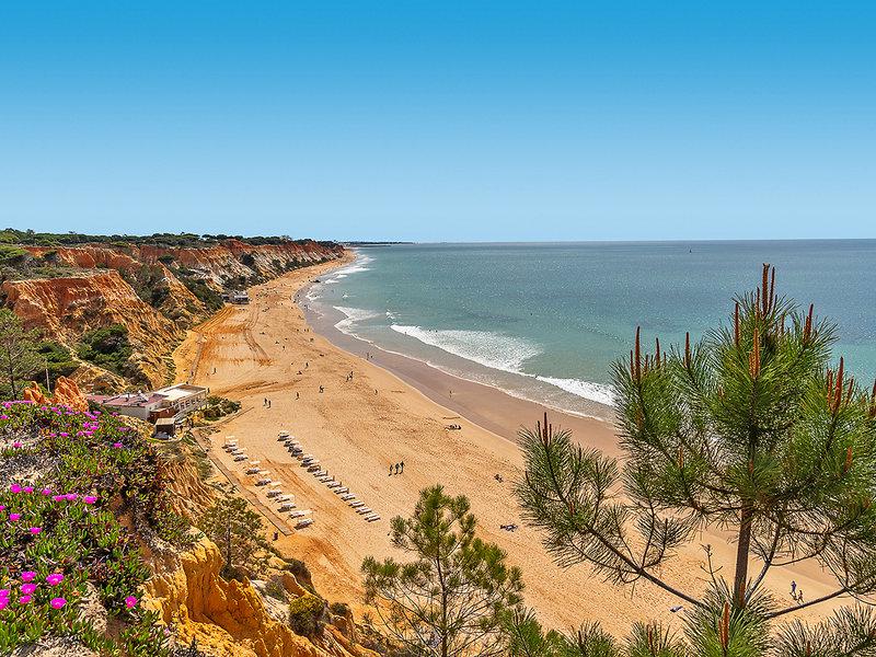 8B9EF0CD95DED239E6BEED963D78C7B2