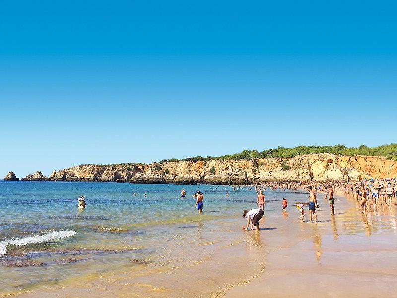 DF1F49EC8DBF380A52AAB1FD8C9389A3