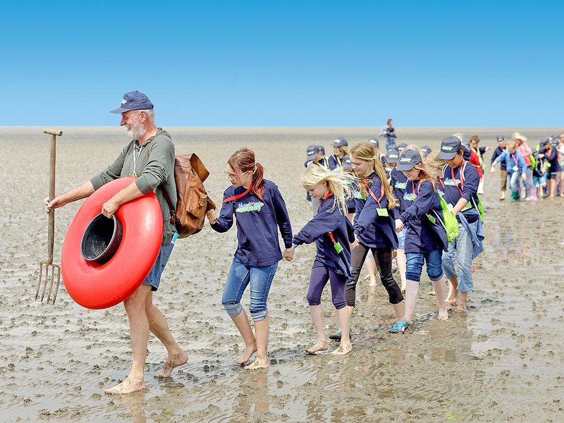 83F0195BA984D7B950086711F9A2FF9C