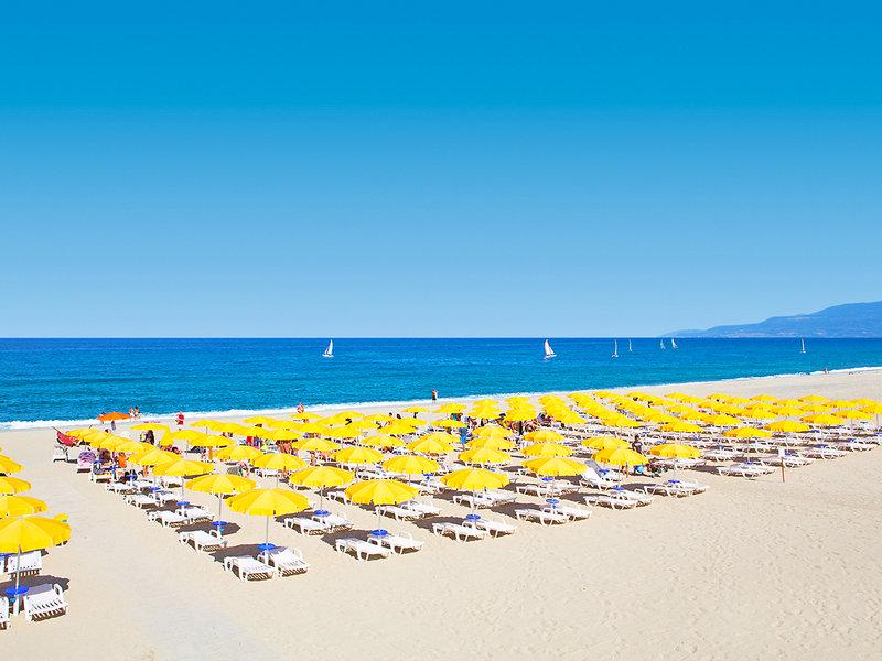 534EC26EF2CE80F2C0BEE039E775FD21