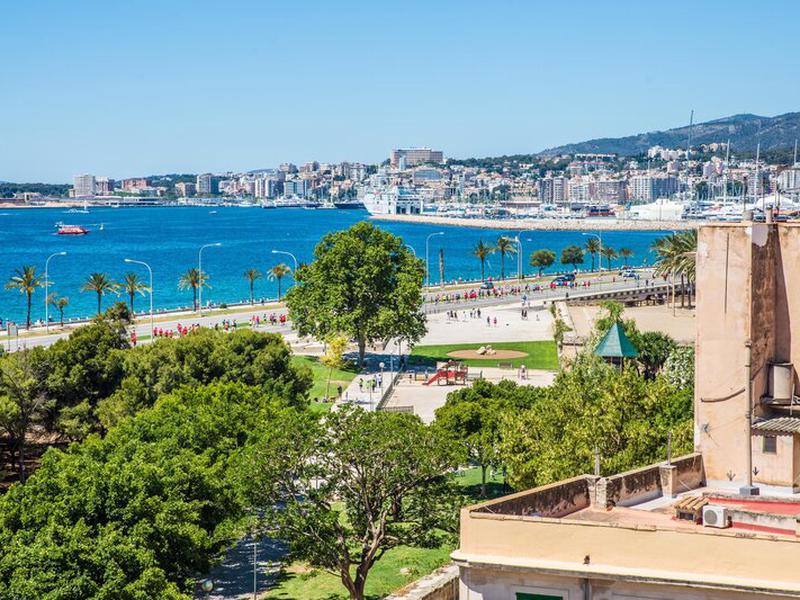 4401974C705906F8762818A242676C78