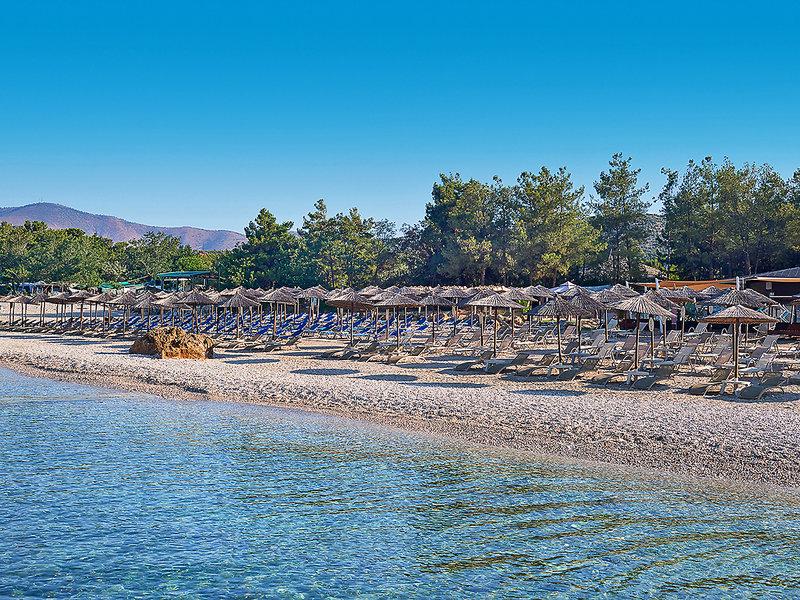 2C42FBACBD27A412B93B3A047F0E3CFA