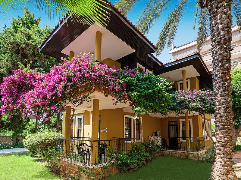 7B3677EF24B2EA6F6AEFC65154FA4E62