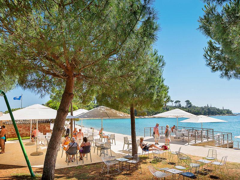 11613C35C6446269FF8259847856A6D1