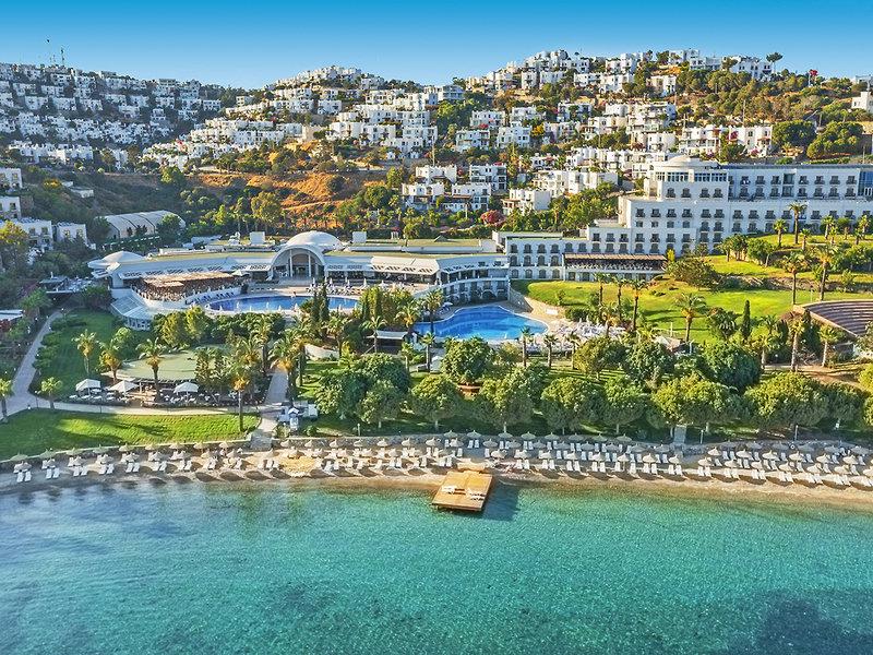 15575A7517644B87A96D3CC8F126F57E