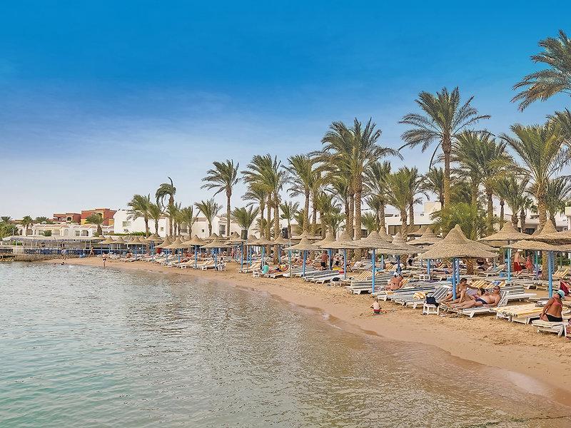 3FC89BFBAEDFC26AC414A7352579027F