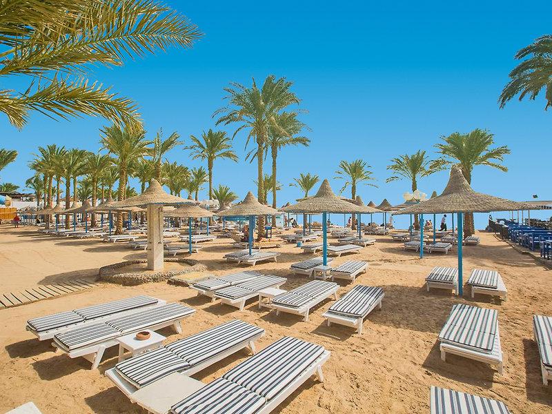 E4A4833528980774E691F4FFE8CF20EF