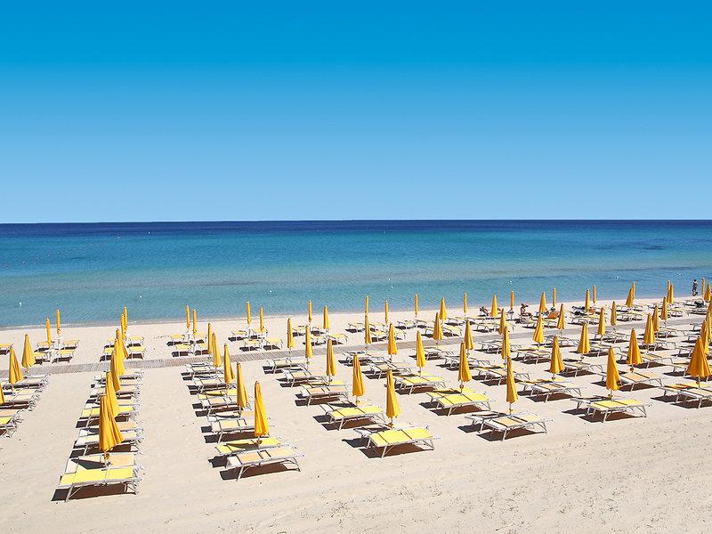 B49F163A0803C8E47AD45F123F6DCA05