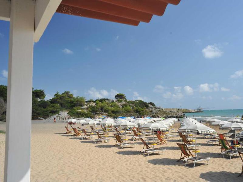 33BB49A154C366DDDC584CE3C9D040B2