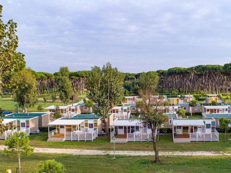 96B54FF2006D553E0AABDE085C802D47