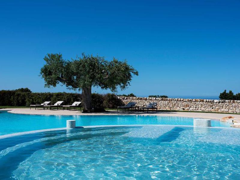 813C8DC171CCA033F22D746B20F9DCF0