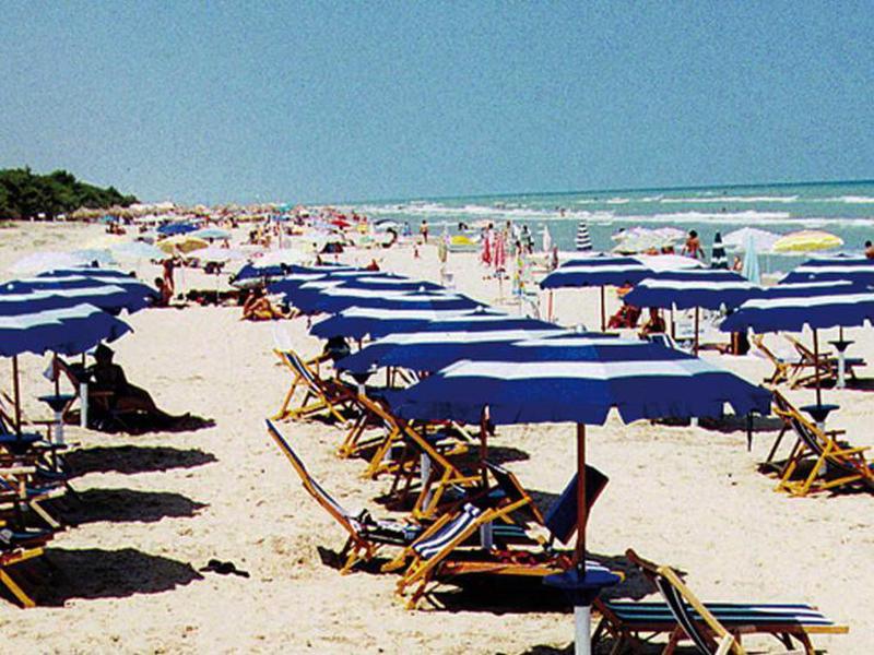 C7288C6177752753B38DDF4AF3A9079D