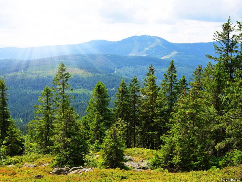 Bayerischer Wald - Wegscheid: Ganzjähriger Urlaub im Landhotel Rosenberger