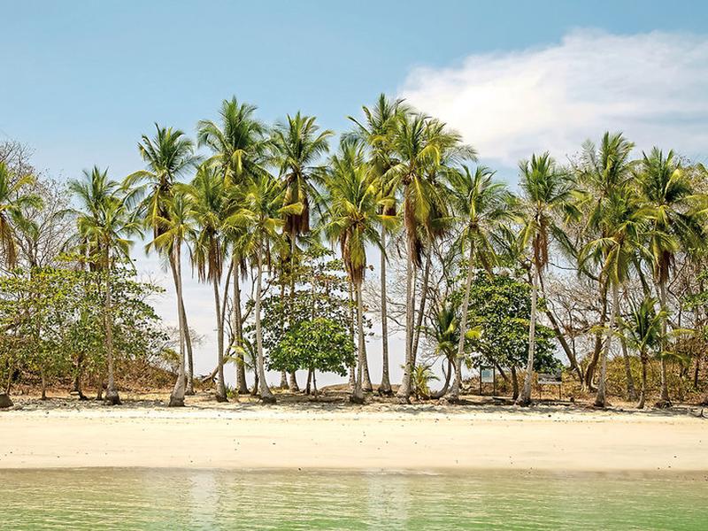 0FE0E8336042B6286258092548D99AED