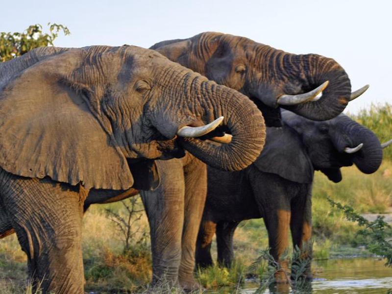 C127F170E674CA6D36E9331E3B51F97C