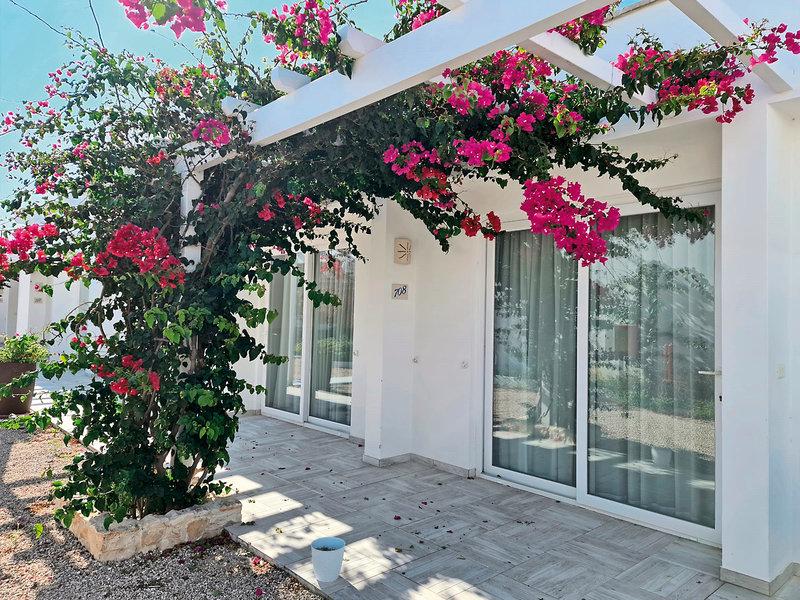 A778A45D74ADC9E77F4C9F45C092BCF9