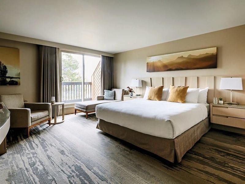 00F16EB7A9AA337FD6D5349CAD555C13