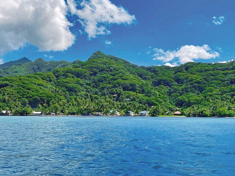 1F03181EE607CC89DE122C7D8A71C7DE