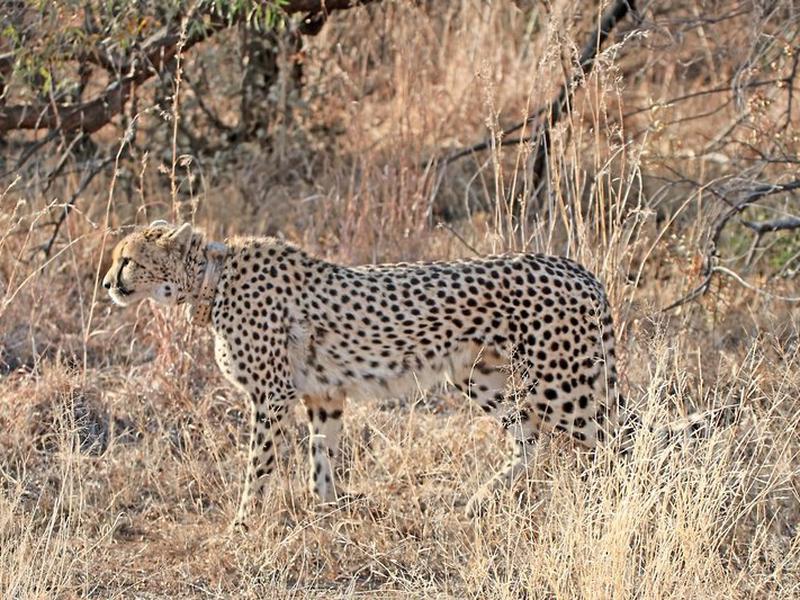 13A487A8A5F527EA3655F36CFD83D52A