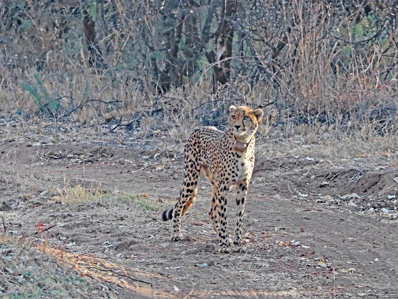 0C0C959AF5A2D97FCA7D7F7B1489AF55