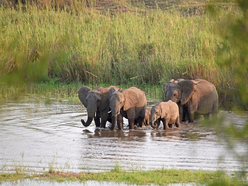 4402575345332561727AD203644EA9FE