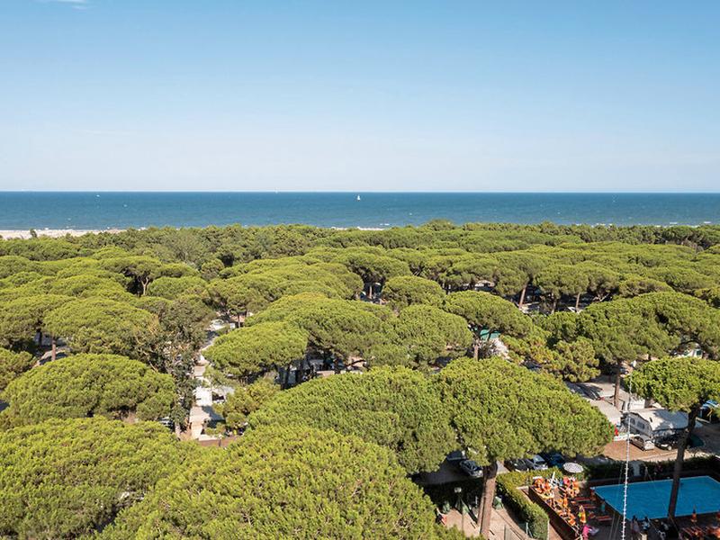 8FDB615336E7895780DC3A6823FE999C