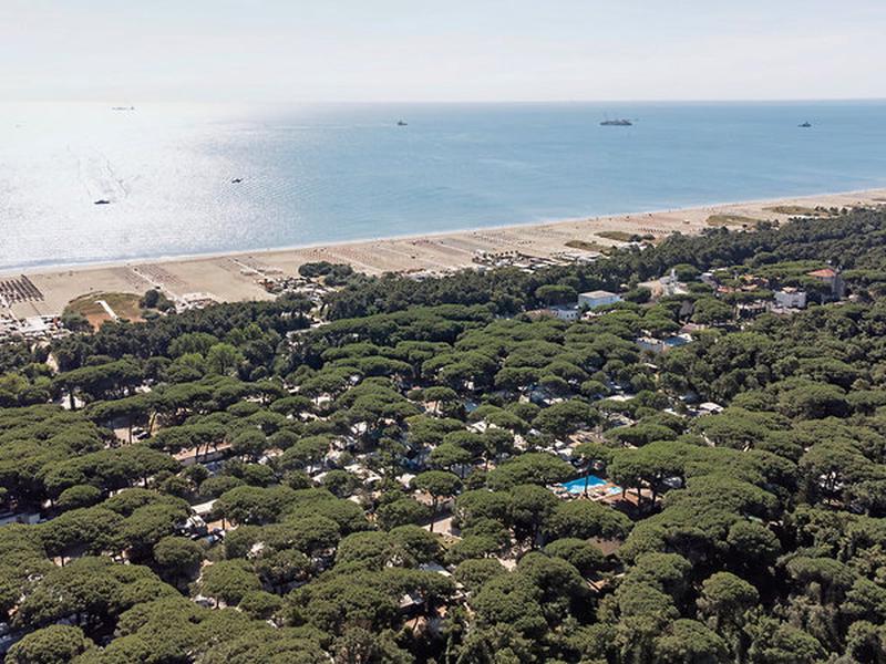 320548B424B253501B6C977B5212E9E3