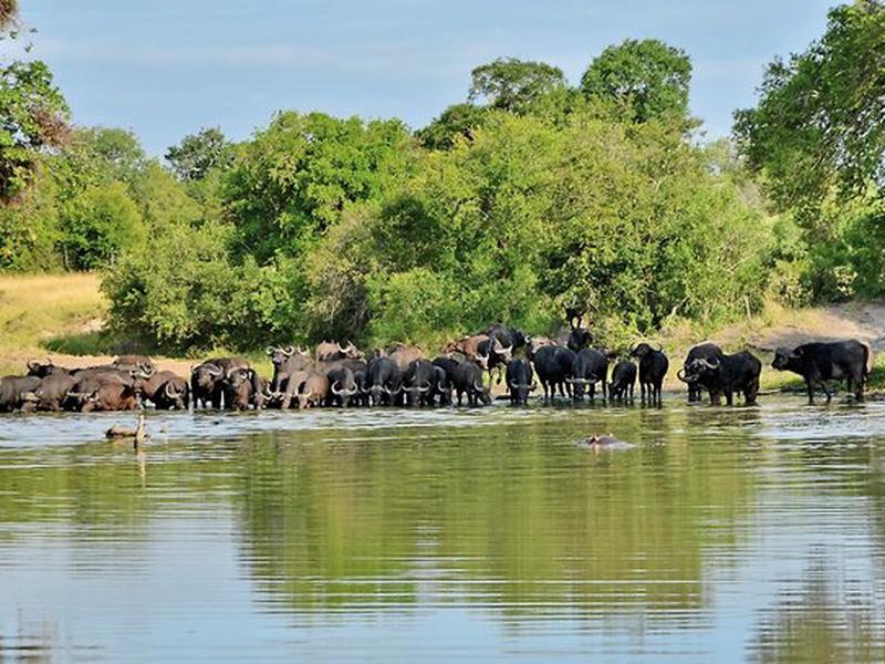 6EA0B24C897743A809787F807A307EF0