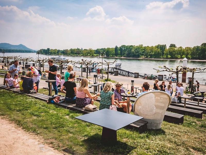 62F100F10059F33444CD229924754993