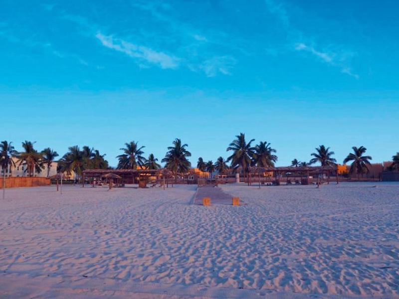 36E4096F0F57A3B3FB7F3A8FCEE47C51