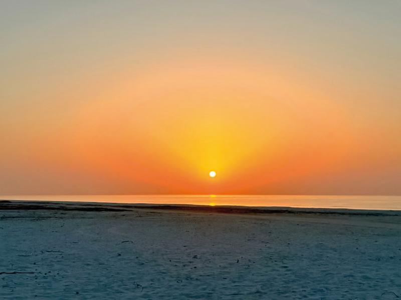 A01611D2E17038CB06B93FEC40C00DDA