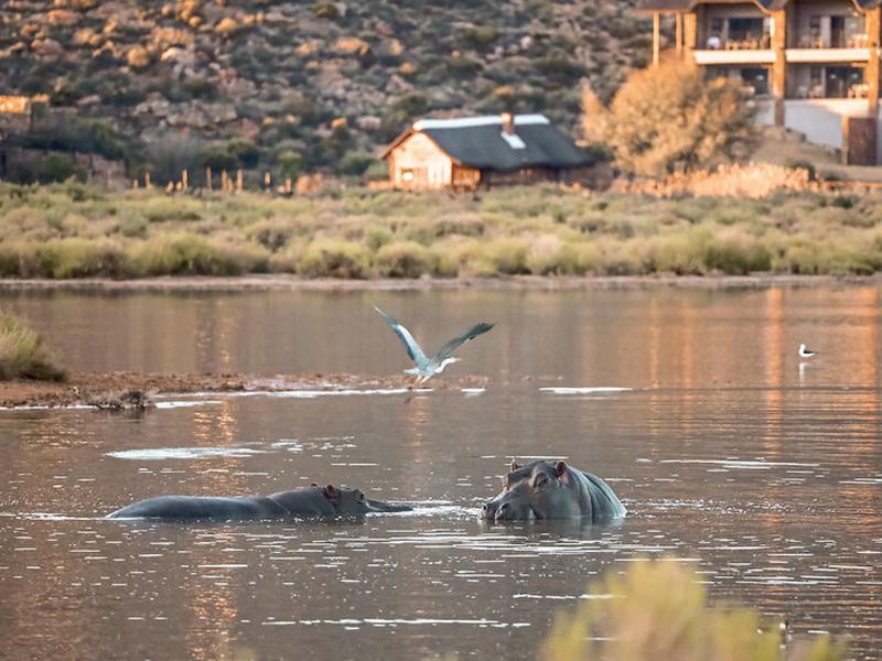 E9E47684619472F7B9C1B5E48BB1C3FB