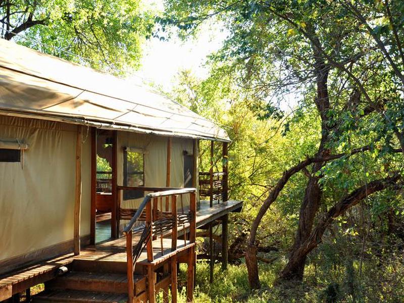 781D5172C49E8E12C3584FFAF338EF9D