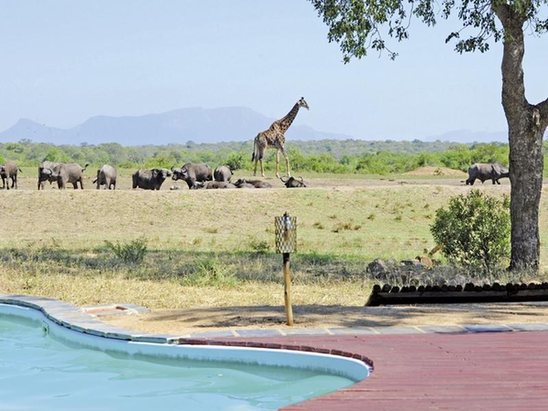 33429D62EDD6C140098AE7CD833B68CF