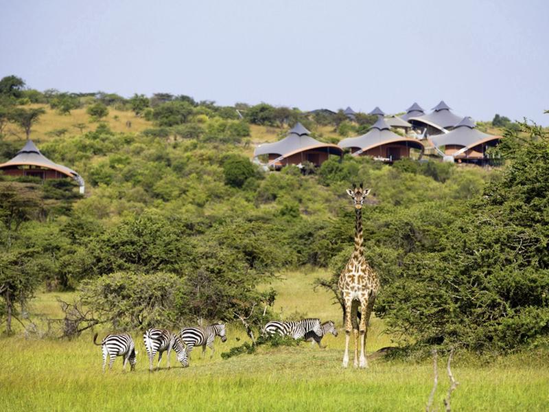 A0BCD71B3D2A2C9772E6EB97A7374780