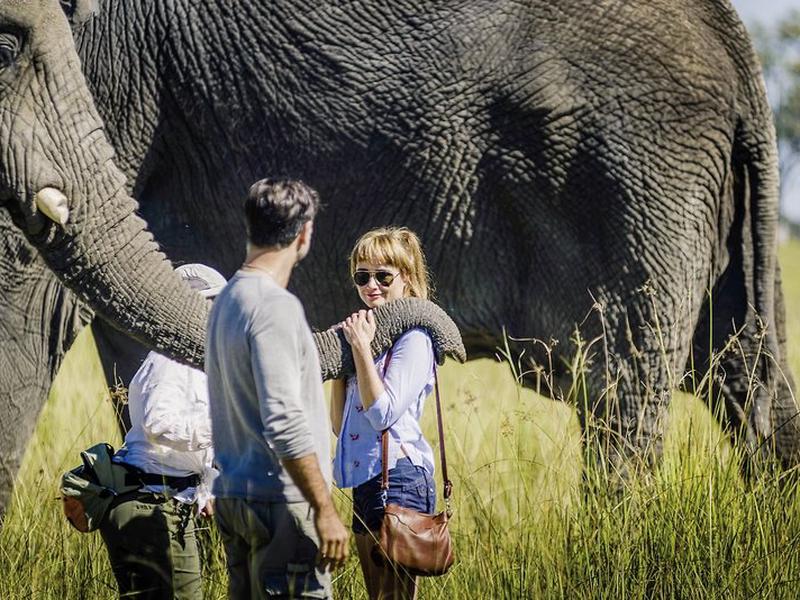 731ECE4B147606956292ECCEAB97B525