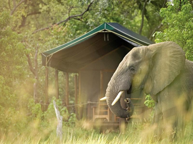 266B8B21ECCF181C77843AA9B4BBDE8C