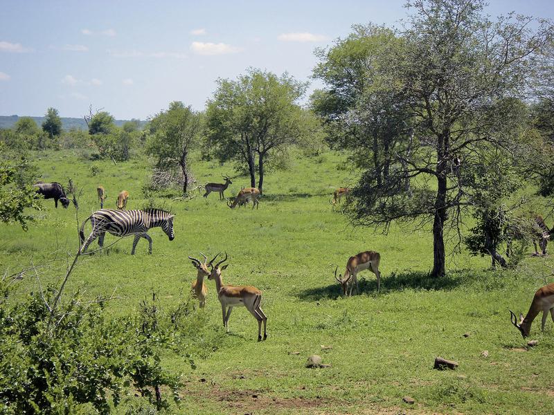 867797B148F27C4BCF479DEDD73F5A2F